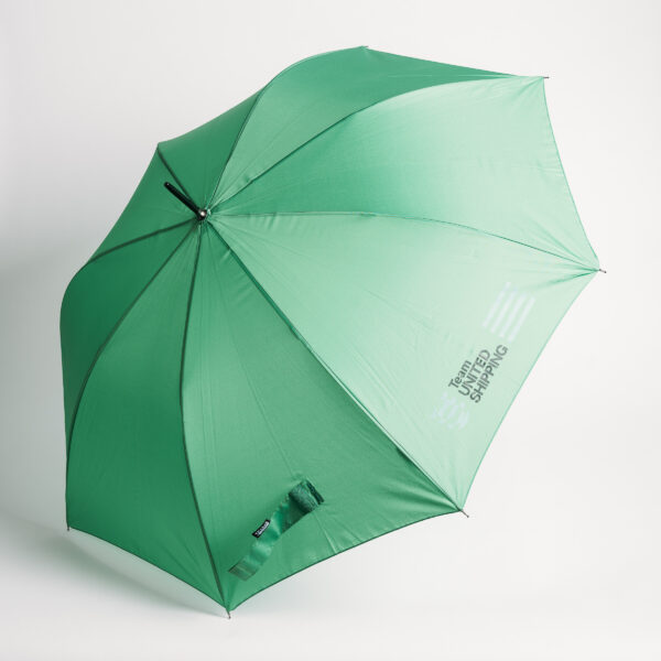 Umbrella - Image 5