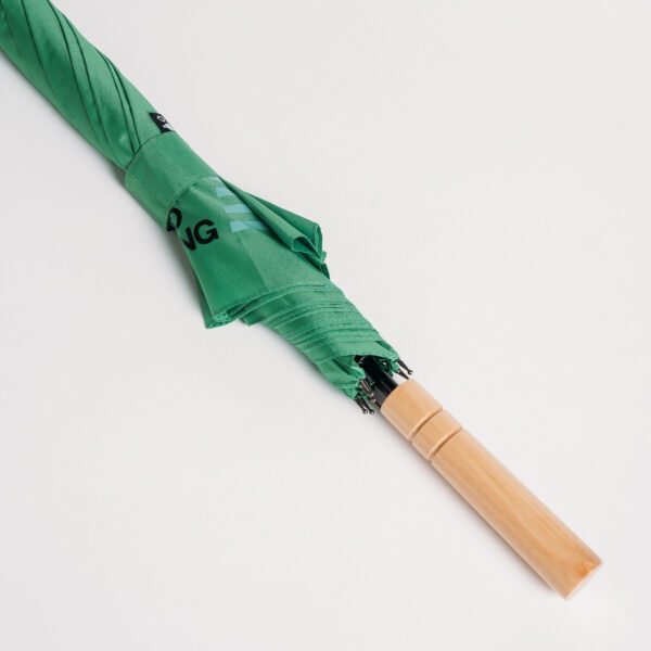 Umbrella - Image 2